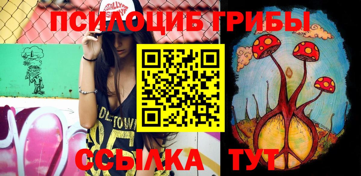 Галлюциногенные грибы Psilocybine cubensis Дедовск